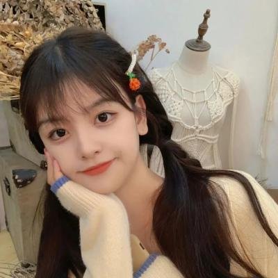 俏房东与妙房客 海报