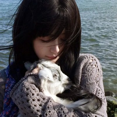 敢死女壮士 海报